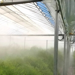 アスパラガスの自動噴霧装置