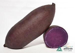 ムラサキマサリ