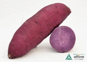 パープルスイートロード