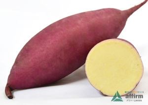 ほしこがね【登録品種】