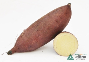 すずほっくり【登録品種】